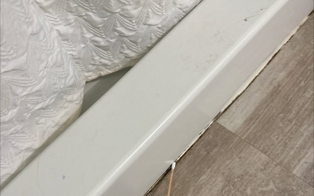 Did Your Builder Use the Right Caulk in Your Bathroom? 🏡🛁